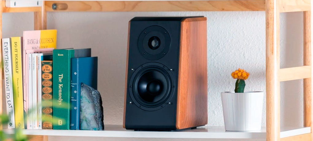 Bookshelf speakers